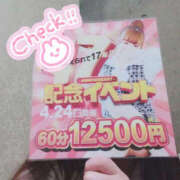 ヒメ日記 2026/04/16 09:54 投稿 ゆうり WHITE(ホワイト)