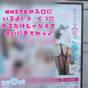 ヒメ日記 2026/04/21 19:00 投稿 ゆうり WHITE(ホワイト)