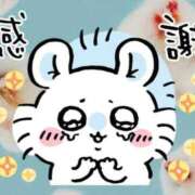 ヒメ日記 2025/11/21 19:25 投稿 りとる びくびくサークル五反田店