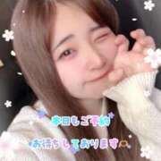 ヒメ日記 2026/03/04 12:38 投稿 りとる びくびくサークル五反田店