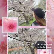 ヒメ日記 2026/04/06 10:02 投稿 りとる びくびくサークル五反田店