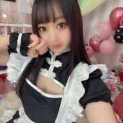 ヒメ日記 2025/06/09 08:54 投稿 らて チューリップ福井本館