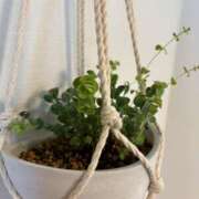 ヒメ日記 2025/06/06 10:45 投稿 よつば 奥様鉄道69 東京店