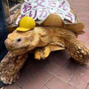 ヒメ日記 2025/06/15 23:05 投稿 よつば 奥様鉄道69 東京店