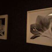 ヒメ日記 2025/07/17 13:55 投稿 よつば 奥様鉄道69 東京店