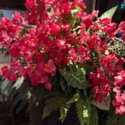 ヒメ日記 2025/08/29 11:25 投稿 よつば 奥様鉄道69 東京店