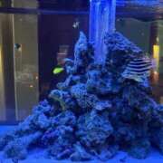 ヒメ日記 2025/09/30 12:05 投稿 よつば 奥様鉄道69 東京店