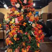 ヒメ日記 2025/10/30 13:39 投稿 よつば 奥様鉄道69 東京店