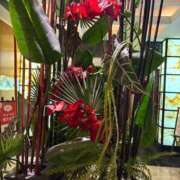 ヒメ日記 2026/01/09 10:25 投稿 よつば 奥様鉄道69 東京店