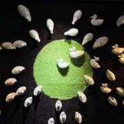 ヒメ日記 2026/01/14 10:15 投稿 よつば 奥様鉄道69 東京店