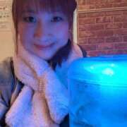 ヒメ日記 2025/12/11 20:25 投稿 岡本　みや アラフォーna奥様 アラフィフna奥様（埼玉ハレ系）