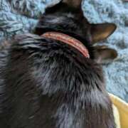 ヒメ日記 2026/02/15 16:21 投稿 岡本　みや アラフォーna奥様 アラフィフna奥様（埼玉ハレ系）