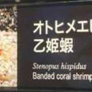 ヒメ日記 2025/09/11 10:03 投稿 乙姫　えまる エテルナ京都