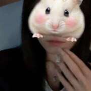 ヒメ日記 2025/12/12 06:02 投稿 乙姫　えまる エテルナ京都