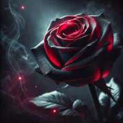 ミワ お知らせ コンプレックス(京都)