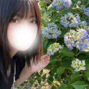 ヒメ日記 2025/06/05 20:19 投稿 かな スピードエコ梅田店