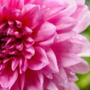 ヒメ日記 2025/07/24 10:23 投稿 芦川【あしかわ】 人妻最後の砦 千葉店