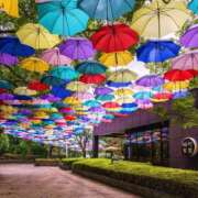 ヒメ日記 2025/07/26 07:51 投稿 芦川【あしかわ】 人妻最後の砦 千葉店