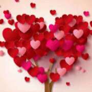 ヒメ日記 2025/09/28 11:11 投稿 芦川【あしかわ】 人妻最後の砦 千葉店