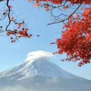 ヒメ日記 2025/09/29 12:42 投稿 芦川【あしかわ】 人妻最後の砦 千葉店