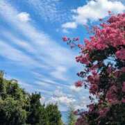 ヒメ日記 2025/10/02 12:00 投稿 芦川【あしかわ】 人妻最後の砦 千葉店