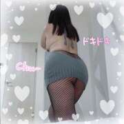 ヒメ日記 2026/01/14 15:49 投稿 芦川【あしかわ】 人妻最後の砦 千葉店