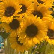 ヒメ日記 2025/07/28 08:36 投稿 和子（わこ） 東金人妻花壇