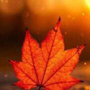 ヒメ日記 2025/09/30 18:57 投稿 和子（わこ） 東金人妻花壇