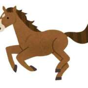 ヒメ日記 2026/01/03 19:37 投稿 ここみ Anemone渋谷店