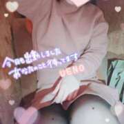 上野 ＼なんだか／ モアグループ大宮人妻花壇