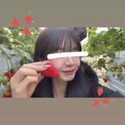 ヒメ日記 2026/02/12 07:10 投稿 白姫らん ウルトラセレクション