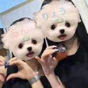 ヒメ日記 2026/06/13 23:50 投稿 白姫らん ウルトラセレクション
