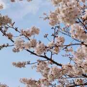 ヒメ日記 2026/04/01 11:48 投稿 上野 モアグループ春日部人妻城