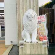 ヒメ日記 2025/06/29 19:39 投稿 山岸　香(やまぎしかおり) 九州熟女　熊本店