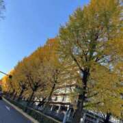 ヒメ日記 2025/12/02 19:29 投稿 結衣(ゆい) エリートな人妻たち新宿