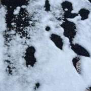 ヒメ日記 2026/02/08 17:19 投稿 結衣(ゆい) エリートな人妻たち新宿