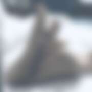 ヒメ日記 2025/06/28 20:04 投稿 つばめ ゴールドフィンガー