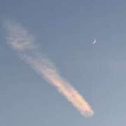 ヒメ日記 2025/07/03 12:30 投稿 つばめ ゴールドフィンガー