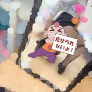 ヒメ日記 2025/07/05 09:58 投稿 つばめ ゴールドフィンガー