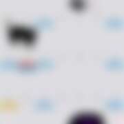 ヒメ日記 2025/09/24 07:42 投稿 つばめ ゴールドフィンガー