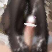 ヒメ日記 2025/12/07 10:27 投稿 つばめ ゴールドフィンガー