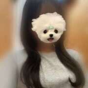 ヒメ日記 2025/09/27 13:00 投稿 この 千葉みるみる（ユメオト）