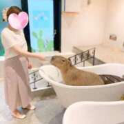 ヒメ日記 2025/08/04 23:52 投稿 さき MIKADO