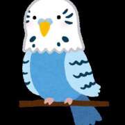 ヒメ日記 2026/01/30 23:24 投稿 まい 栃木小山ちゃんこ