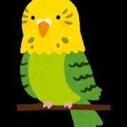 ヒメ日記 2026/02/01 00:20 投稿 まい 栃木小山ちゃんこ