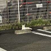 ヒメ日記 2026/02/22 22:50 投稿 まい 栃木小山ちゃんこ