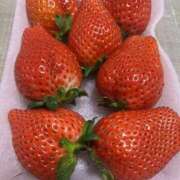 ヒメ日記 2026/02/25 10:00 投稿 まい 栃木小山ちゃんこ