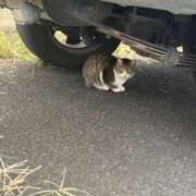 ヒメ日記 2026/02/27 10:52 投稿 まい 栃木小山ちゃんこ