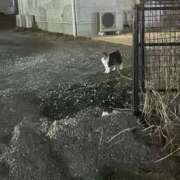 ヒメ日記 2026/02/28 21:00 投稿 まい 栃木小山ちゃんこ