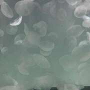 ヒメ日記 2026/03/04 02:43 投稿 まい 栃木小山ちゃんこ